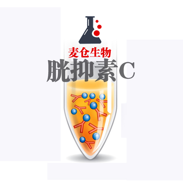 胱抑素C价格 品牌:麦生物 上海 规格:1mg 含量