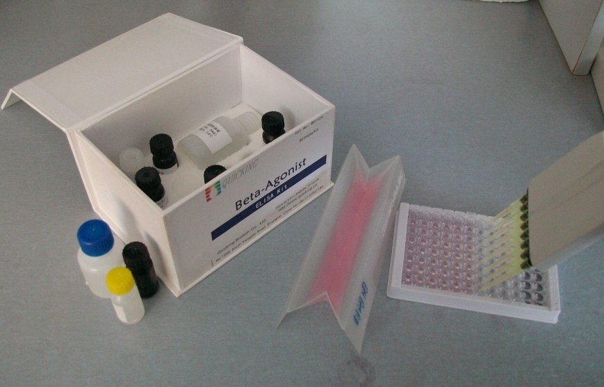 人己糖激酶(HK)ELISA检测试剂盒