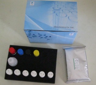 大鼠凝聚素(CLU)ELISA试剂盒(欧美,中国)