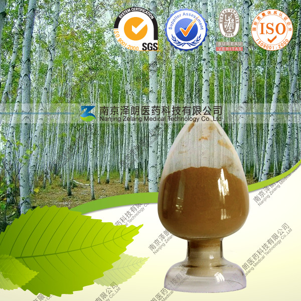 桦树叶提取物(江苏、南京)-南京泽朗医药科技有