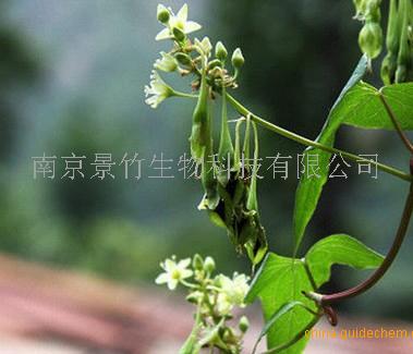 产品 医药中间体及辅料  中草药及生物制品  植物提取物  红药子提取