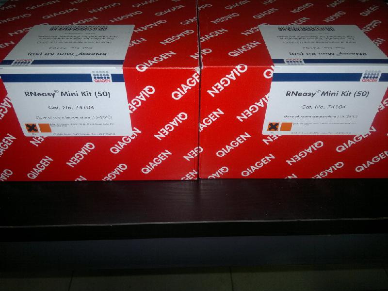 现货批发Qiagen QIAamp Viral RNA Mini Kit （250）52906报价价格 品牌：Qiagen 德国 规格盒