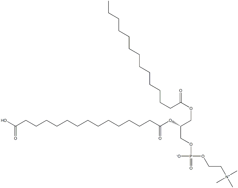 油酰基甘油磷酸胆碱