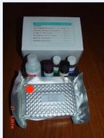 小鼠乙型肝炎e抗体(HBeAb)ELISA试剂盒