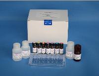 非小细胞肺癌抗原检测试剂盒价格 品牌:R&D、