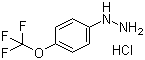 4-(trifluoromethoxy)phenyl hydrazine hydrochloride