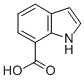 Indole-7-carboxylic acid