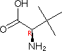(2R)-2-amino-3,3-dimethylbutanoic acid