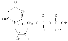 尿苷-5'-二磷酸二鈉鹽/尿苷 二磷酸二鈉鹽/27821-45-0