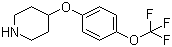 4-[2-(Trifluoromethyl) phenoxy]piperidine