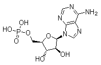Adenine-9-beta-D-arabinofuranoside-5'-monophosphat...