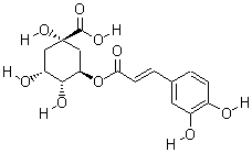 Chlorogenic acid CAS : 327-97-9 // herbal extract