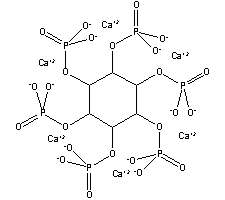 Calcium Magnesium Phytate