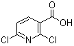 2,6-dichloropyridine-3-carboxylic acid