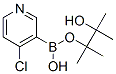 4-Chloropyridine-3-boronic acid pinacol ester  