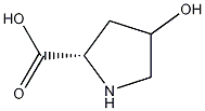 L-hydroxyproline