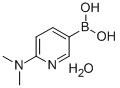 Boronic acid, B-[6-(dimethylamino)-3-pyridinyl]-