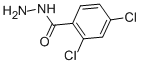 2,4-Dichlorobenzhydrazide