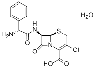 Cefaclor monohydrate