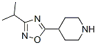 Piperidine, 4-[3-(1-methylethyl)-1,2,4-oxadiazol-5...