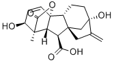 Gibberellin Acid (GA3)