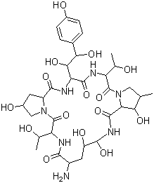 Echinocandin B
