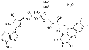 Flavine adenine dinucleotide