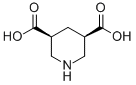 cis-3,5-Piperidinedicarboxylic acid