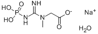 922-32-7 磷酸肌酸二钠盐