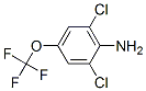 2,6-DICHLORO-4-(TRIFLUOROMETHOXY)ANILINE