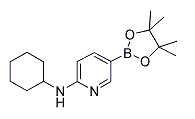 2-Pyridinamine, N-Cyclohexyl-5-(4,4,5,5-Tetramethy...