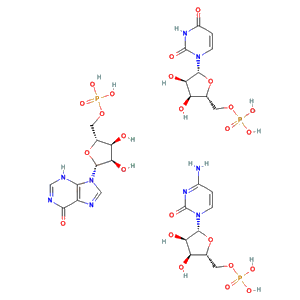 Kanamycin-polyI-poly(C12.U) sodium salt compound solution(Kanamycin -Poly [I: (C12.U)] sodium salt*)
