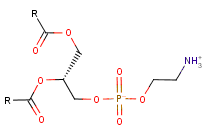 PhosphatidylEthanolamine
