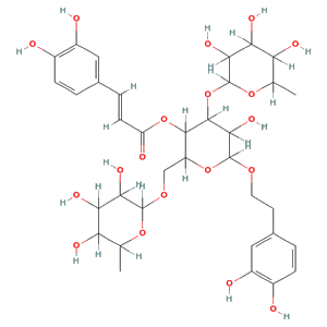 [6-[2-(3,4-dihydroxyphenyl)ethoxy]-5-hydroxy-4-(3,4,5-trihydroxy-6-methyloxan-2-yl)oxy-2-[(3,4,5-trihydroxy-6-methyloxan-2-yl)oxymethyl]oxan-3-yl] (E)-3-(3,4-dihydroxyphenyl)prop-2-enoate