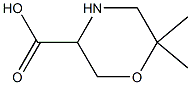 6,6-二甲基-3-吗啉羧酸 1214213-50-9