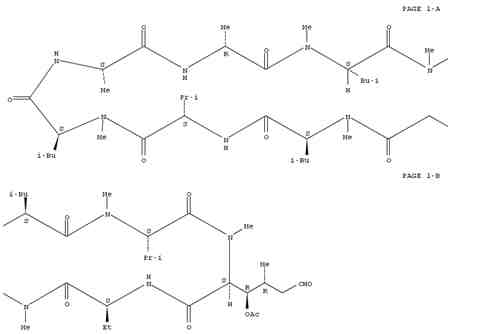 6-[(3R,4R)-3-(Acetyloxy)-N,4-dimethyl-6-oxo-L-norleucine] Cyclosporin A manufacturer  