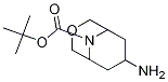 tert-butyl 7-amino-3-oxa-9-azabicyclo[3.3.1]nonane-9-carboxylate