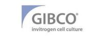 大量批发Gibco 21700-075 F-12 Nutrient Mixture培养基价格