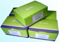 特价批发Omega质粒快速大量提取试剂盒价格