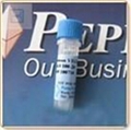 高品质Recombinant Human IL-6 20ug Peprotech细胞因子报价