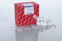 季度热销Qiagen QIAfilter Plasmid Maxi Kit （25）12263报价