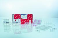 北京Qiagen QIAamp DNA Mini Kit （50）51304原装报价