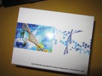 小鼠脑源性神经营养因子(BDNF)ELISA试剂盒说明书，北京报价