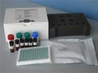大鼠诱导型NO合酶(iNOS）elisa试剂盒