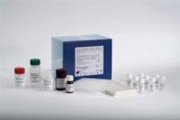 小鼠白细胞介素2(IL-2)ELISA Kit