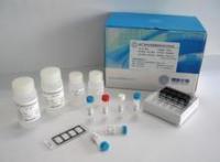 代测小鼠粘蛋白/粘液素 C ELISA试剂盒，北京(MUC C)试剂盒报价