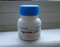 特价批发Amresco 0558 Neomyein Sulfate 硫酸新霉素价格