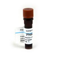北京热销Sigma L8754PHA-P植物血球凝集素P价格