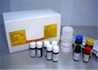 免费代测小鼠黄嘌呤ELISA试剂盒，北京elisa试剂盒