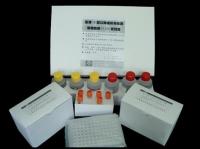 免费代测鸡甲状腺素(T4)ELISA试剂盒，北京鸡ELISA试剂盒价格